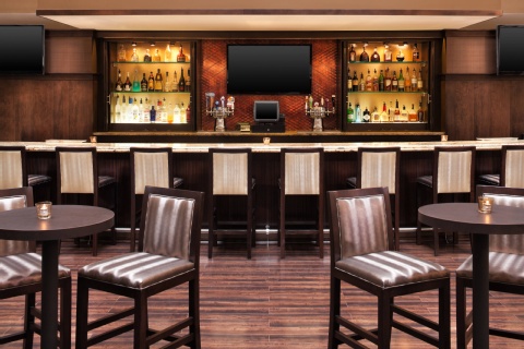 Sheraton Suites Chicago O'Hare , IL 60018 near Ohare International Airport View Point 14