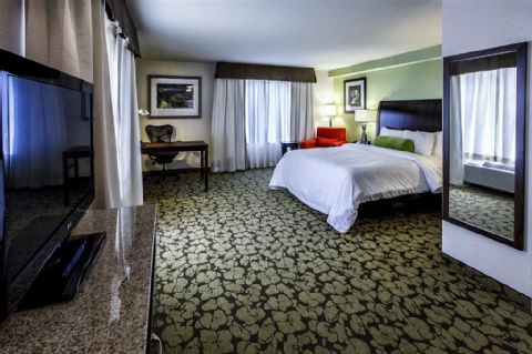 Hilton Garden Inn New York/Staten Island , NY 10314 near Newark Liberty International Airport View Point 37