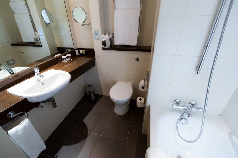 Crowne Plaza Ealing 8