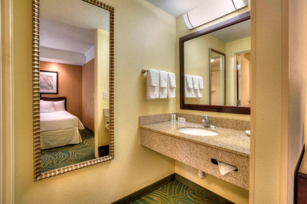 Springhill Suites By Marriott Tampa Brandon